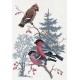 Dieren Dieren