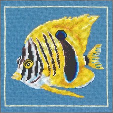 Borduurpakket met telpatroon - Gele Zebravis