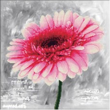 Pink Dahlia - Voorbedrukt borduurpakket - OP BESTELLING