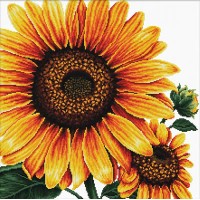 Sunflower - Voorbedrukt borduurpakket 